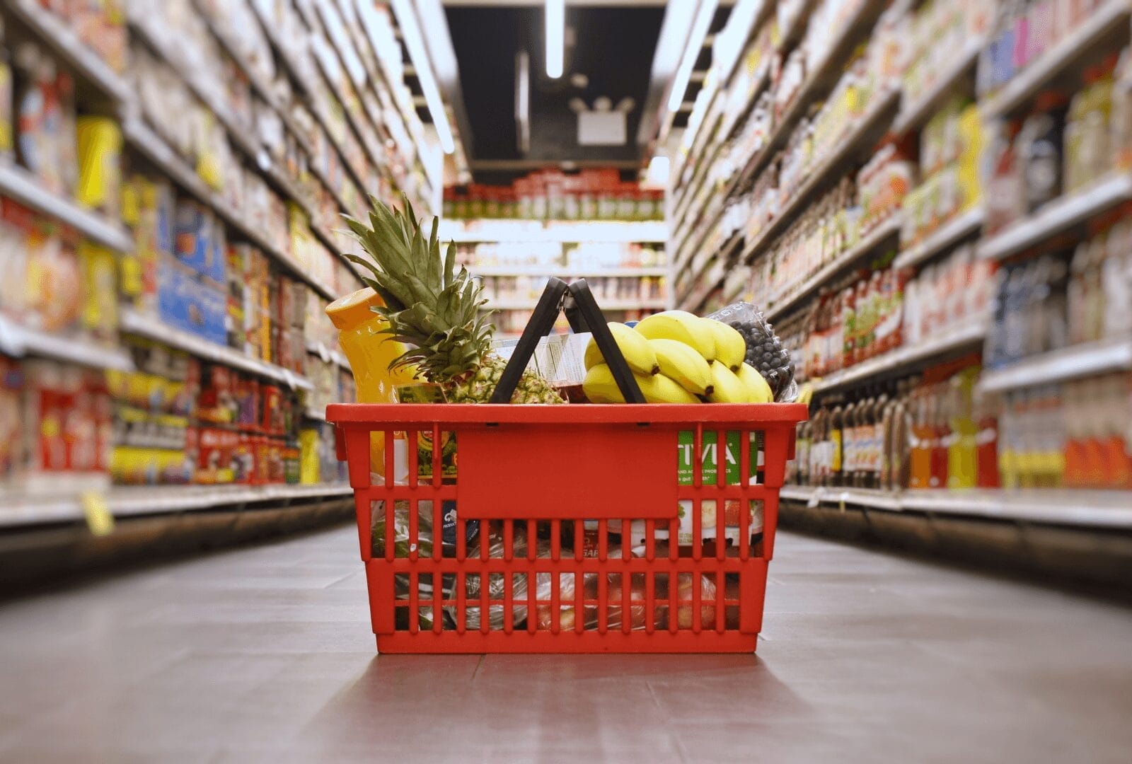 NDIS Shopping Excursions
